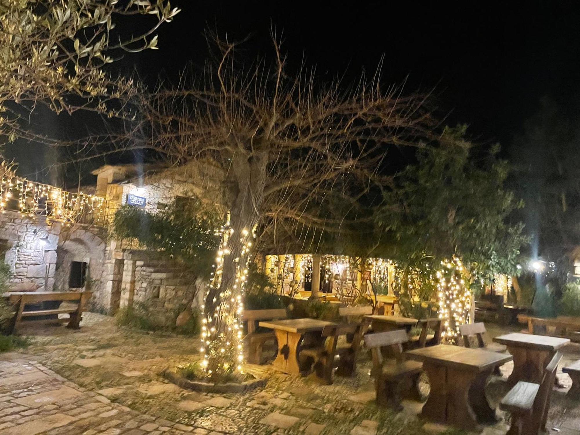 My Adriatic Place With Private Garden And Garage Sibenik Ngoại thất bức ảnh